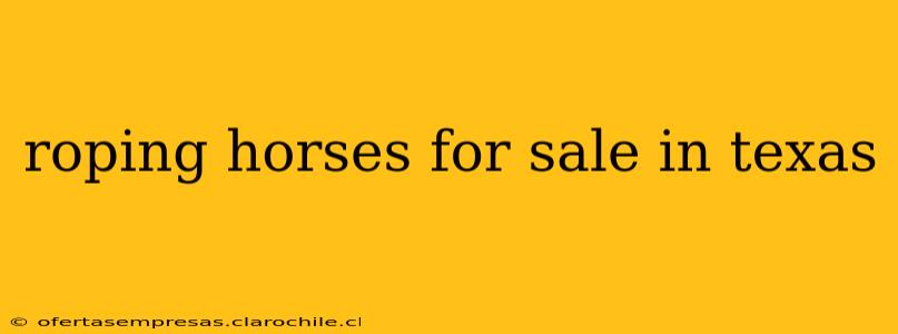 roping horses for sale in texas