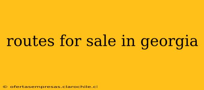 routes for sale in georgia