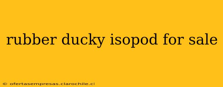 rubber ducky isopod for sale