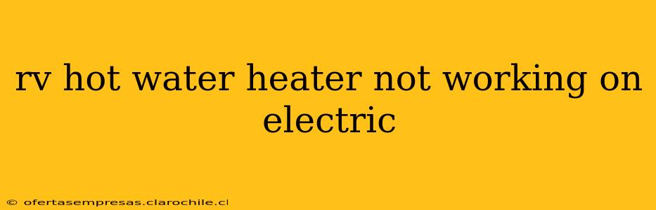 rv hot water heater not working on electric