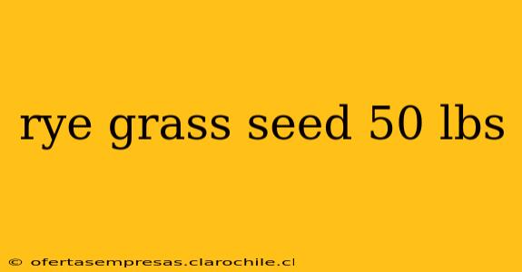 rye grass seed 50 lbs