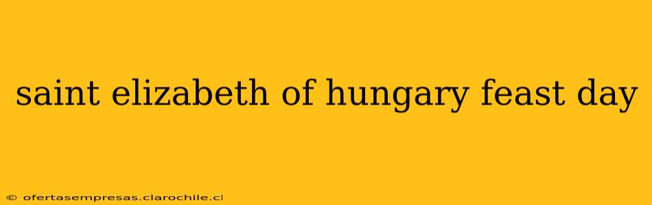 saint elizabeth of hungary feast day