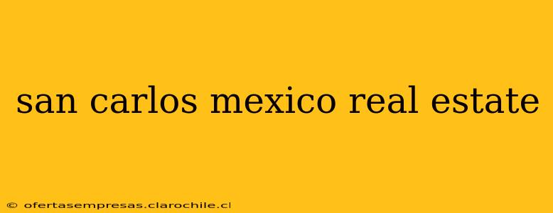 san carlos mexico real estate