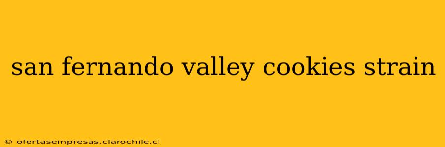 san fernando valley cookies strain