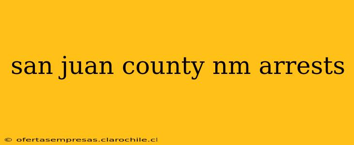 san juan county nm arrests