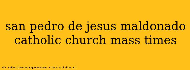 san pedro de jesus maldonado catholic church mass times