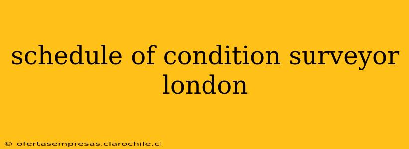 schedule of condition surveyor london
