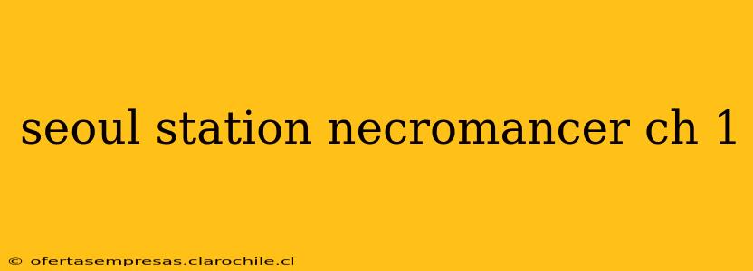 seoul station necromancer ch 1