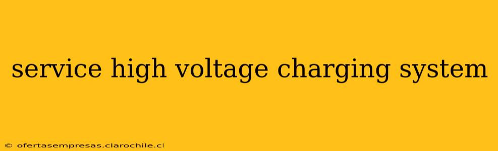 service high voltage charging system