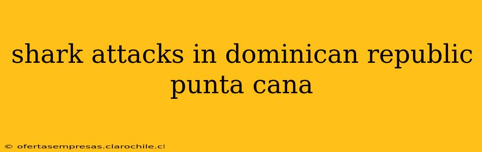 shark attacks in dominican republic punta cana