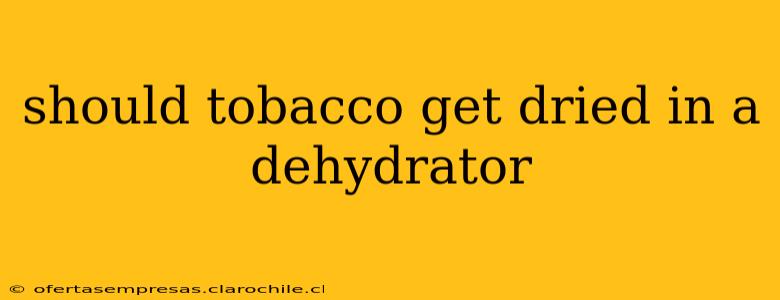 should tobacco get dried in a dehydrator