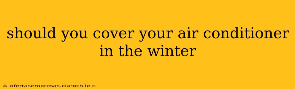 should you cover your air conditioner in the winter