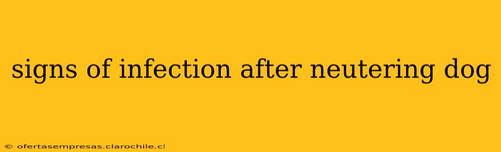 signs of infection after neutering dog