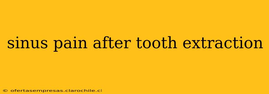 sinus pain after tooth extraction