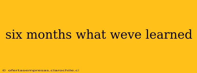 six months what weve learned