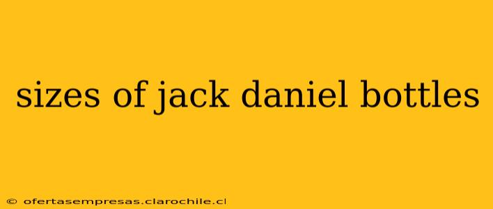 sizes of jack daniel bottles