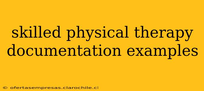 skilled physical therapy documentation examples