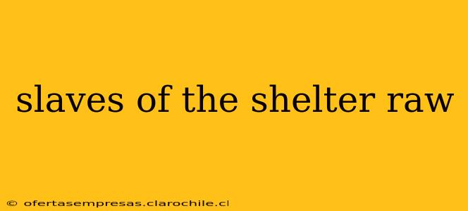 slaves of the shelter raw