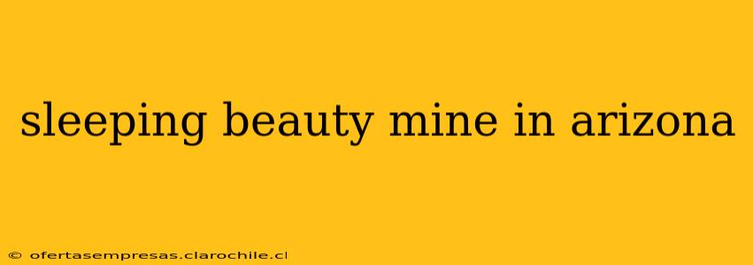 sleeping beauty mine in arizona
