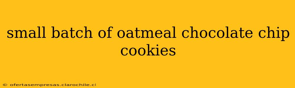 small batch of oatmeal chocolate chip cookies