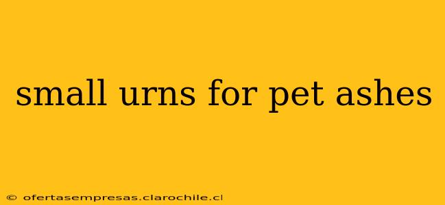 small urns for pet ashes