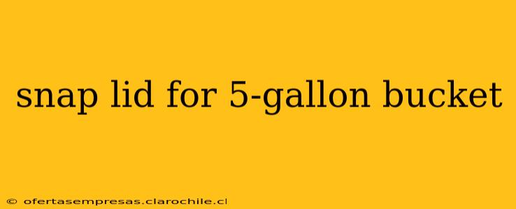 snap lid for 5-gallon bucket