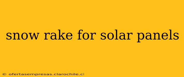 snow rake for solar panels