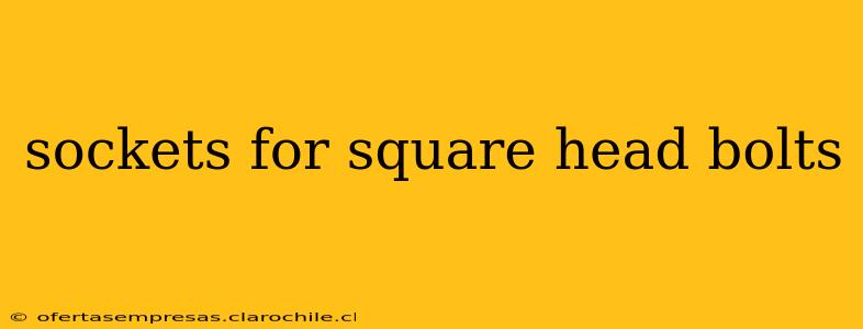 sockets for square head bolts