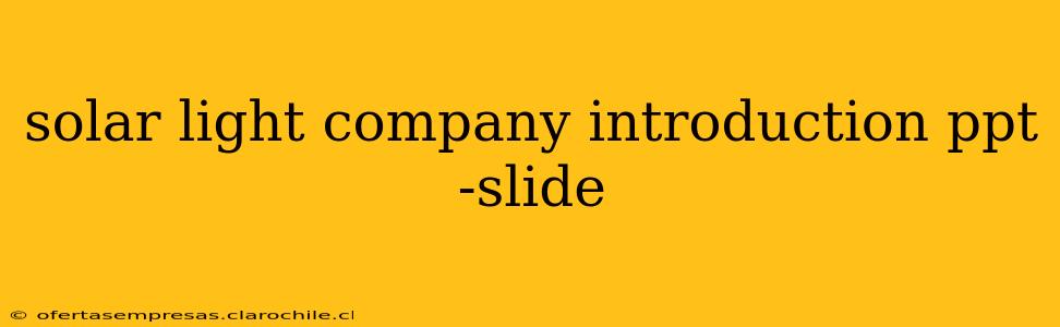 solar light company introduction ppt -slide