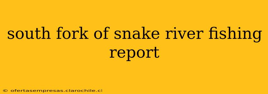 south fork of snake river fishing report