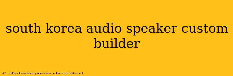 south korea audio speaker custom builder