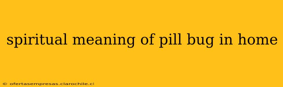 spiritual meaning of pill bug in home