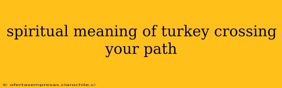 spiritual meaning of turkey crossing your path