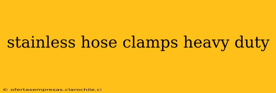 stainless hose clamps heavy duty