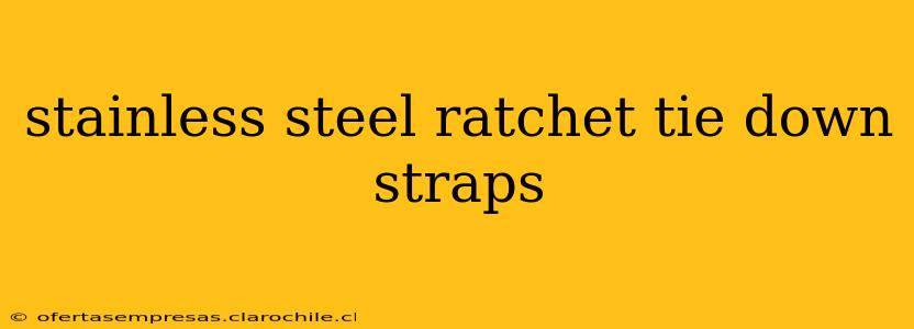 stainless steel ratchet tie down straps