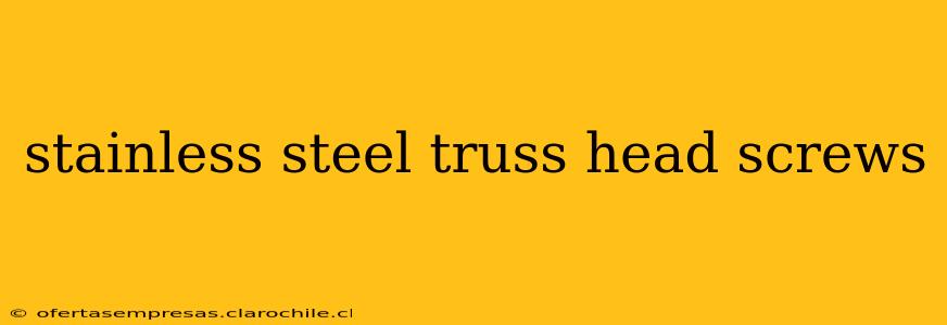 stainless steel truss head screws