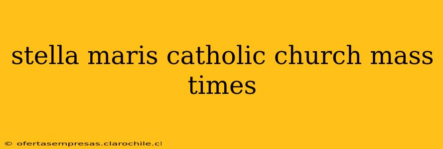 stella maris catholic church mass times