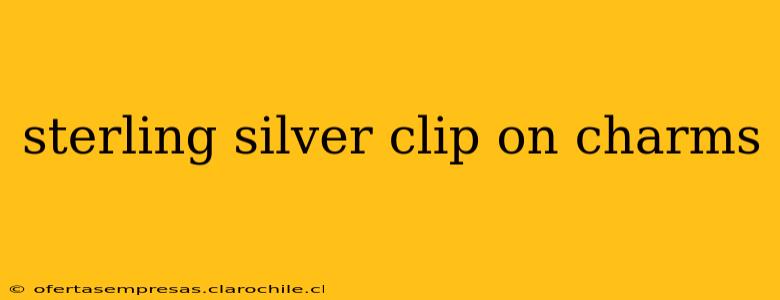 sterling silver clip on charms