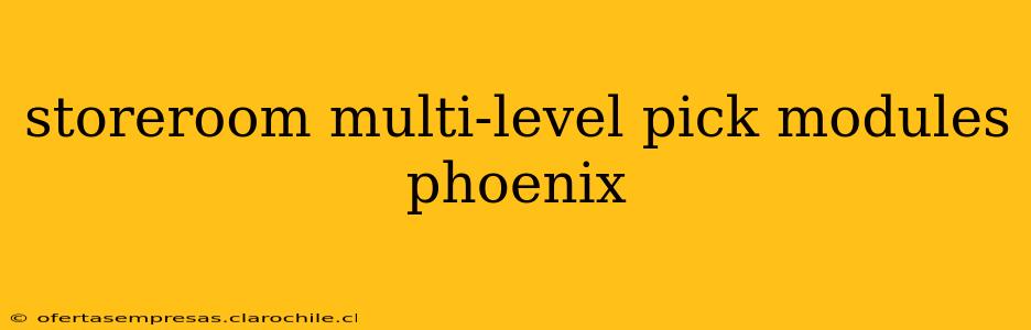 storeroom multi-level pick modules phoenix