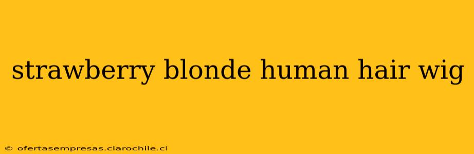 strawberry blonde human hair wig