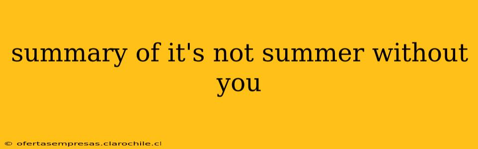 summary of it's not summer without you