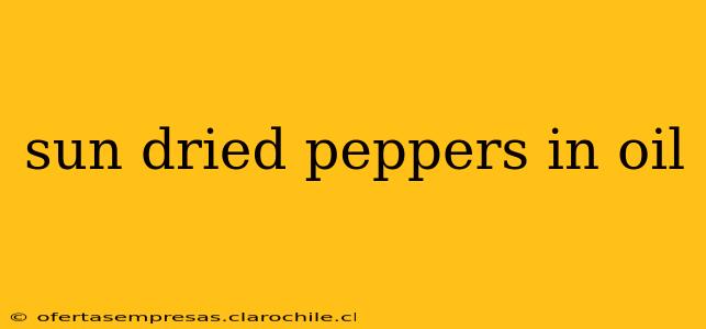sun dried peppers in oil