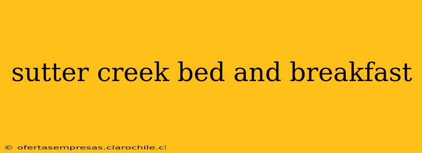 sutter creek bed and breakfast