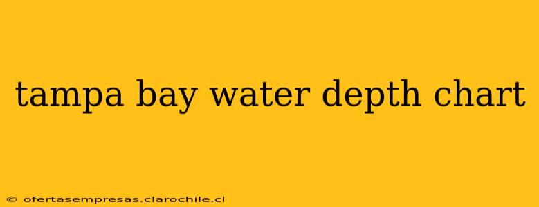 tampa bay water depth chart