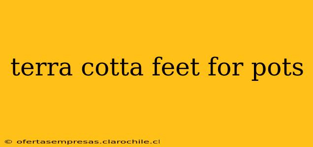 terra cotta feet for pots
