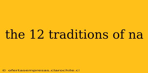 the 12 traditions of na