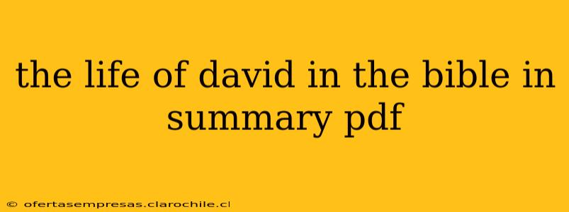 the life of david in the bible in summary pdf