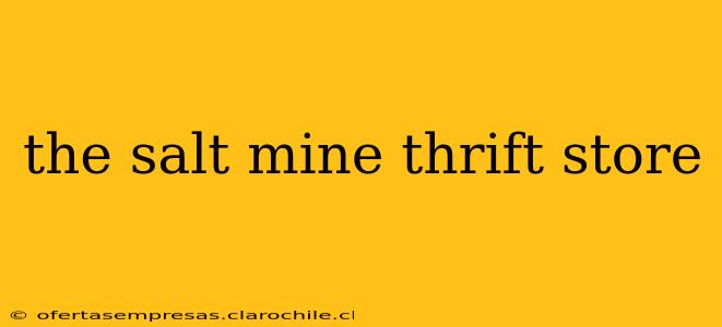 the salt mine thrift store