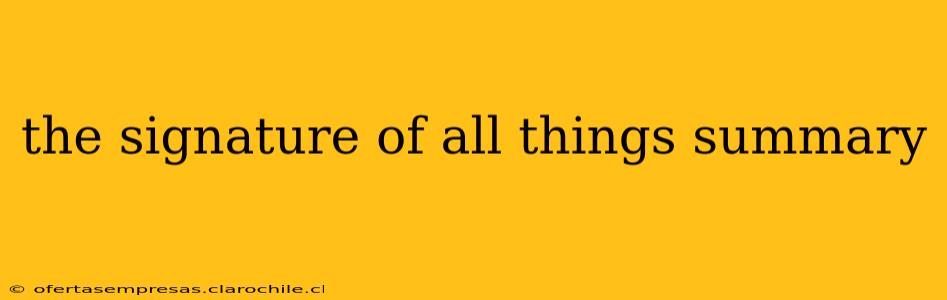 the signature of all things summary