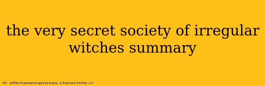 the very secret society of irregular witches summary